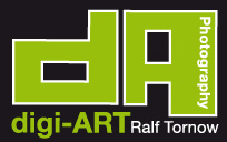 Digi Art Logo